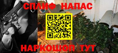 крисы Краснознаменск