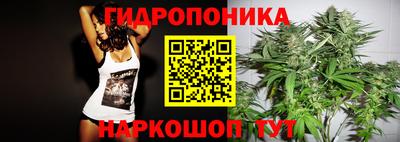 крисы Краснознаменск
