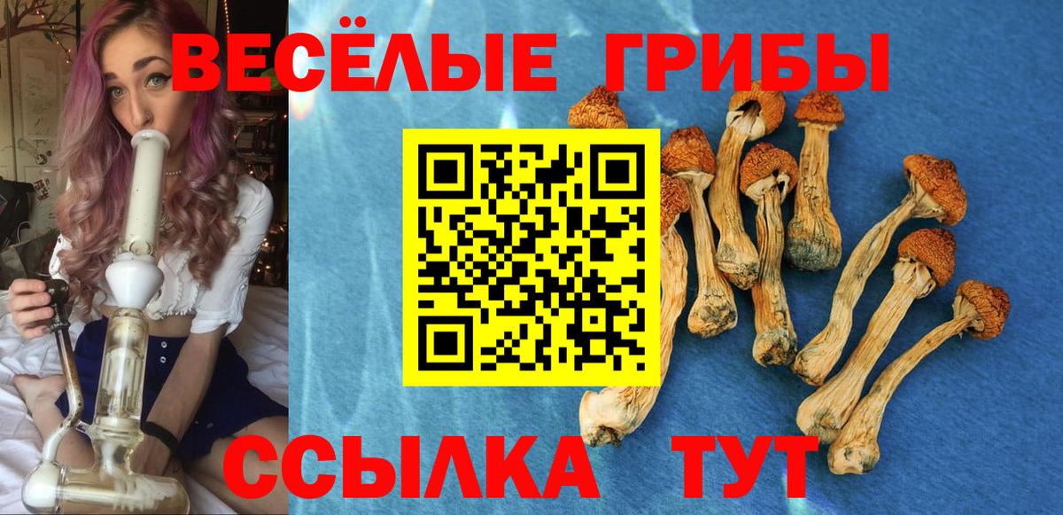 Псилоцибиновые грибы Magic Shrooms Егорьевск
