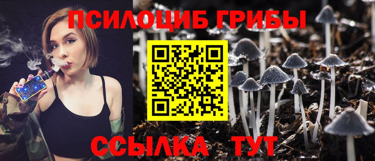 Егорьевск  где купить наркотик  Вход с VPN  Галлюциногенные грибы Psilocybe 